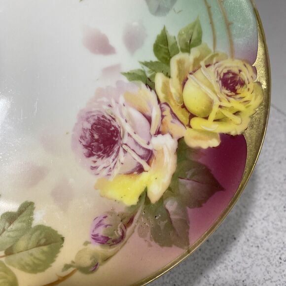 Vintage Royal Rudolstadt Cabinet Plate Prussian Porcelain Floral Hand Painted - Picture 4 of 7